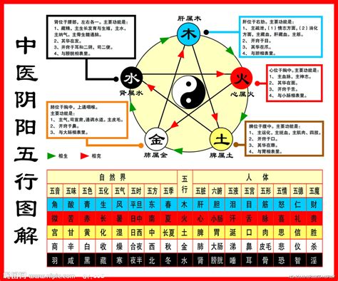 怎么看五行